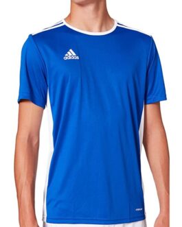 Camiseta entrenamiento Adidas